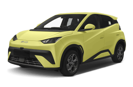 BYD / DolphinSurf / BYD Dolphin Surf Active