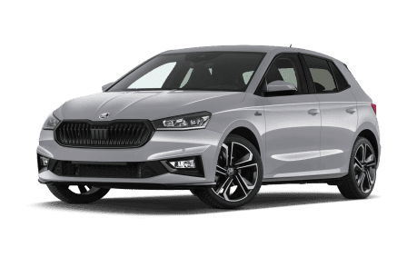 Skoda / Fabia / 1.0TSI81kW Family A [STOCK]