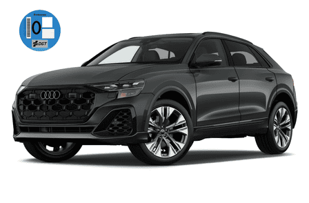 AUDI / Q8  / Q8 Black line 55 TFSIe 290kW quattro tiptronic